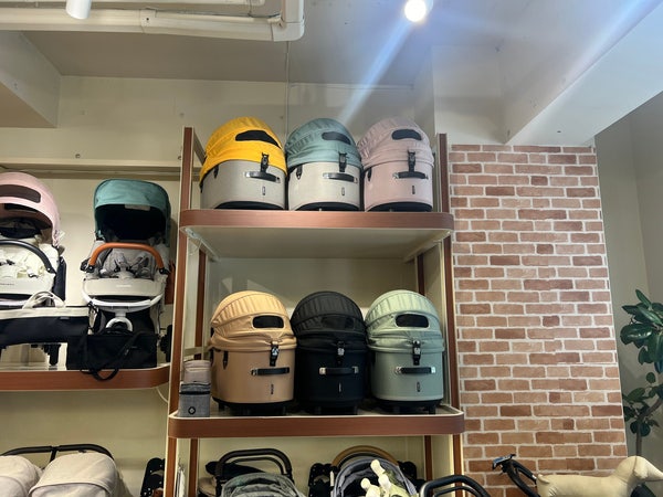 일본여행: 후쿠오카 텐진 에어버기 애견용품점 방문후기