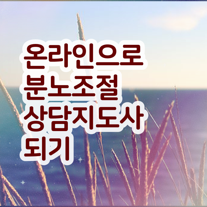  50대 자격증 추천 , 분노조절상담지도사 경력없는 고졸도 쉽게 준비한 후기