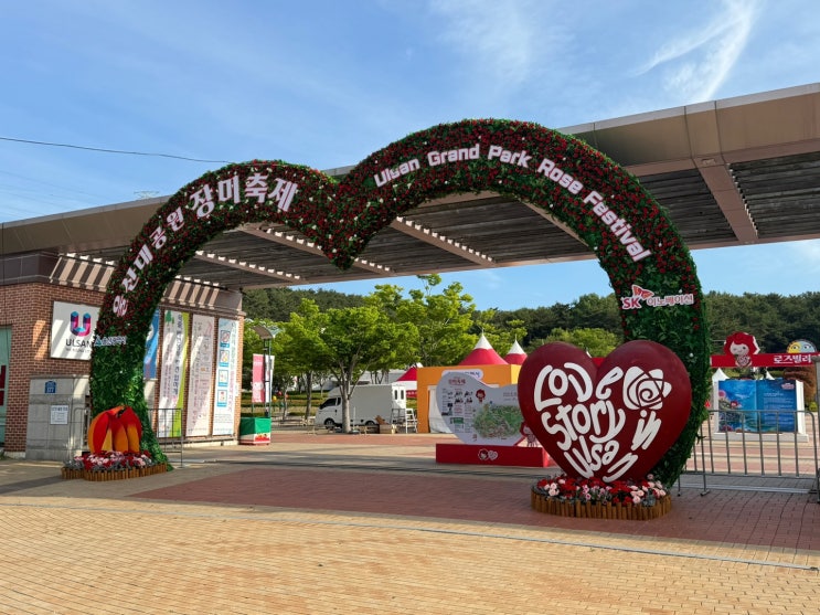  울산대공원 장미축제에서 느낀 아침의 아름다움과 감동