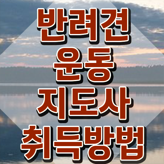  경단녀 뜻 , 반려견운동지도사 중년 직장인도 손쉽게 성공한 후기