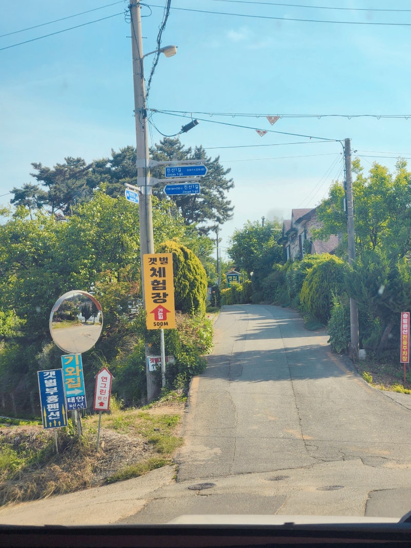 사진 6