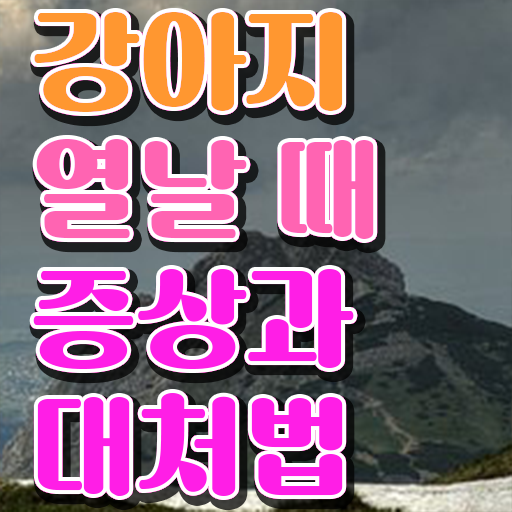  40대일자리 , 반려동물관리사 자격증 온라인으로 쉽게 취득한 정보 핵심 정보