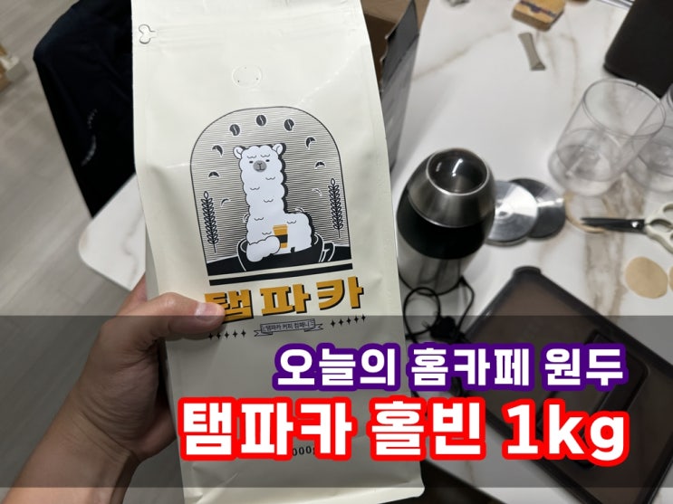  오늘의 홈카페 원두는 탬파카원두 대용량 홀빈 1kg 커피원두 진하고 고소해