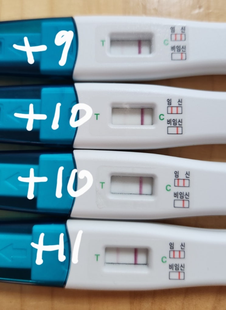  3주 1일) 임신초기증상, 극초기, 얼리임신테스트기, 임테기 사용시기