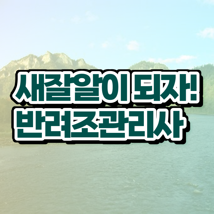  앵무새 털빠짐 , 반려조관리사 자격증 20일 만에 합격한 후기 및 취업정보