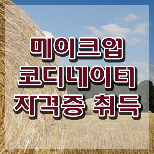  메이크업 아티스트 연봉 , 메이크업코디네이터 자격증 비용없이 온라인으로 합격한 팁 및 취업정보