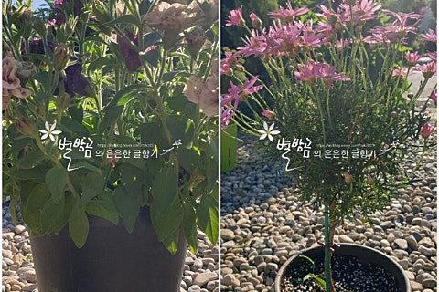 (주)하나마이 이미지