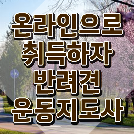 신라대 반려동물학과 , 반려견운동지도사 경력없는 고졸도 빠르게 준비한 꿀팁 모음