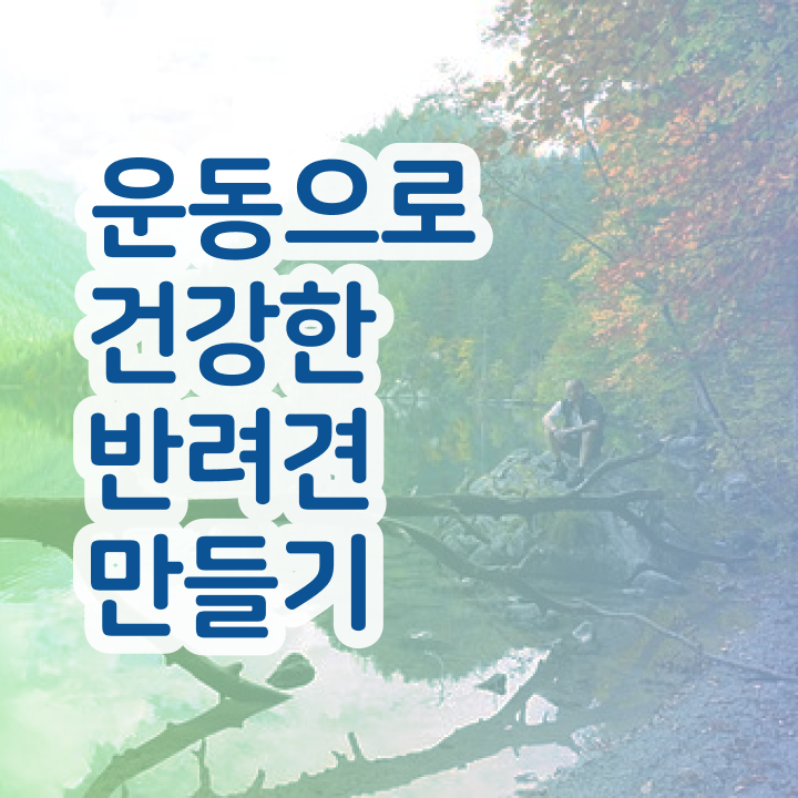  50대취업 , 15일 만에 반려견운동지도사자격증 합격 전략