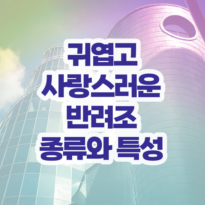  , 반려조관리사 자격증 온라인 교육으로 합격한 비법 , 고용 전망