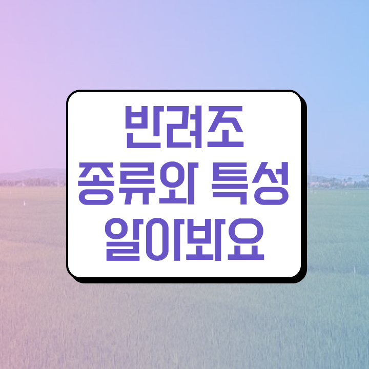  사랑 앵무새 키우기 , 반려조관리사 자격증 합격한 비법 여기서 확인하세요