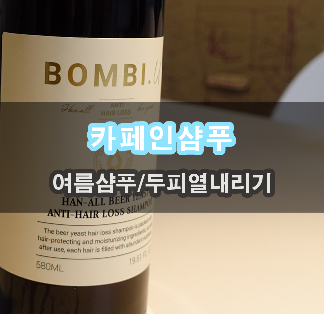  여름철 두피관리 방법 두피열내리기 샴푸선택 카페인샴푸