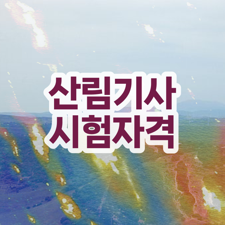  산림기사 신청 산림기사 취득자격 인강만 듣고 15주 동안 완료한 비법