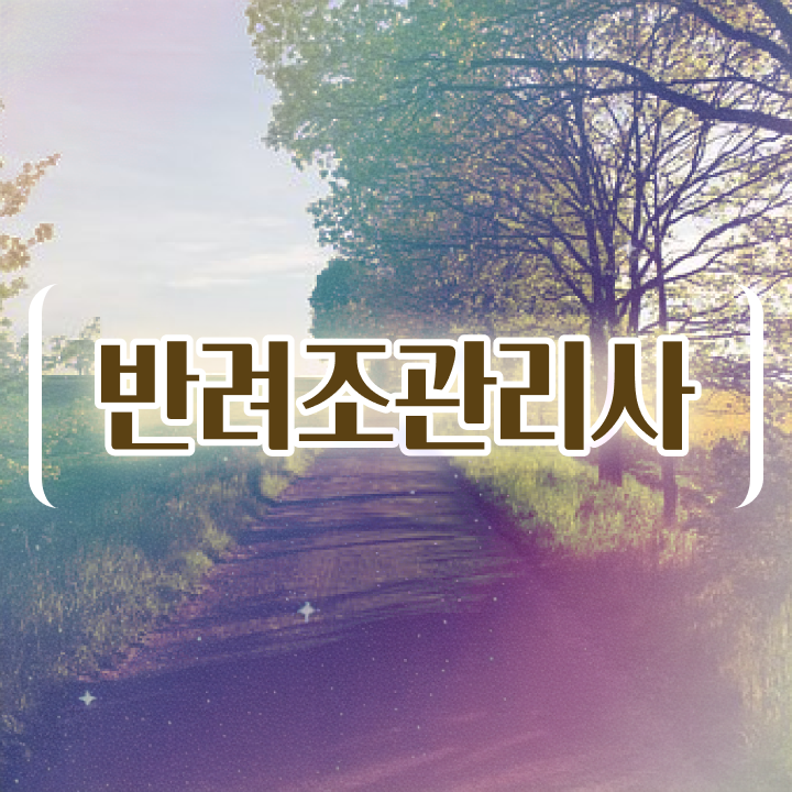  앵무새 분양 , 반려조관리사 자격증 합격한 비법 핵심 정보 정리