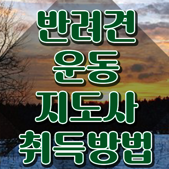  동물보건사 자격증시험 , 반려견운동지도사자격증 준비 과정 , 주목받는 이유
