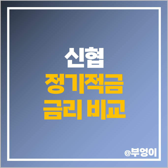 신협 적금 특판 금리 비교 단기 1년 이자 높은 정기적금 추천 신협 적금 특판 금리 비교 단기 1년 이자 높은 정기적금 추천