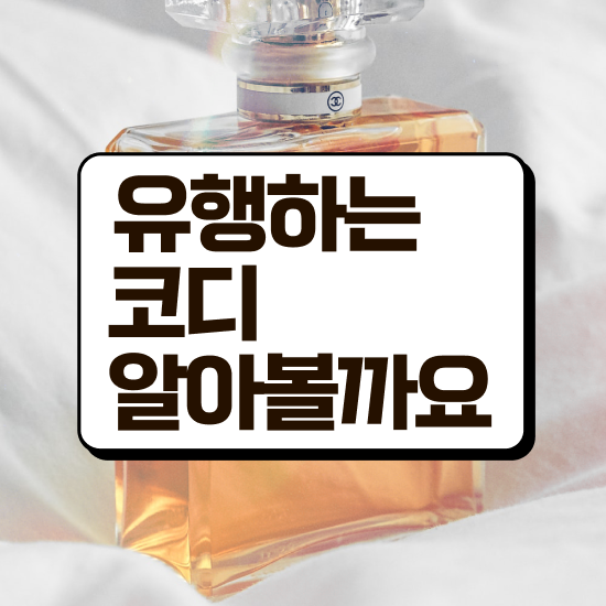  퍼스널컬러컨설턴트자격증 1달 만에 취득한 방법