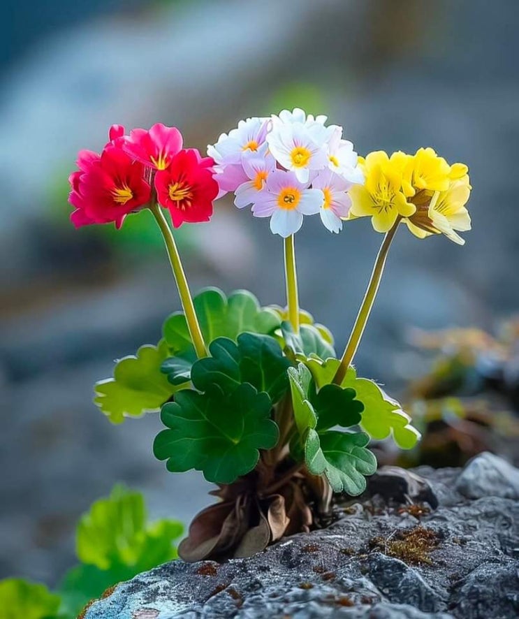   오늘의 생활정보 (2024-06-03, 월)
