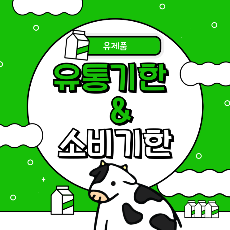  우유, 요쿠르트, 유산균 종류의 유제품 유통기간과 소비기간 정보