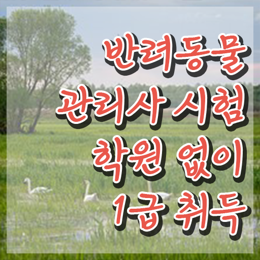  경단녀 , 반려동물관리사 자격증 합격한 전략 확인