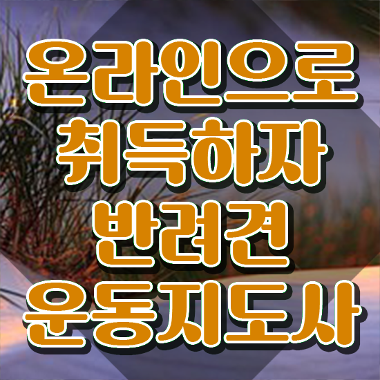  동물보건사 자격증 조건 , 온라인으로 손쉽게 반려견운동지도사 취득방법