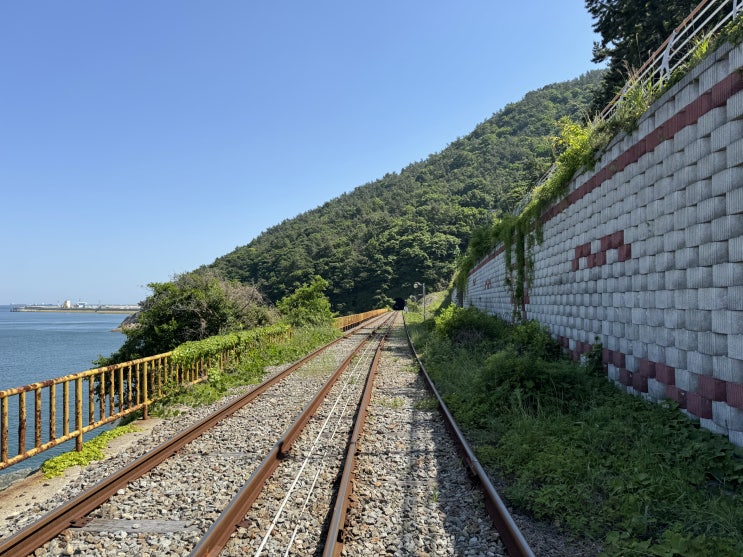  여수 여행 필수코스 생각보다 좋았던 여수해양레일바이크