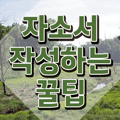  합격 자소서 , 자기소개서지도사 자격증 온라인 교육으로 합격한 팁 , 취업 전망