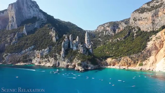  병원코디네이터 , 병원코디네이터 자격증 독학으로 합격한 전략 및 전망