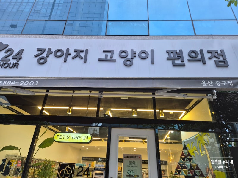 사진 9