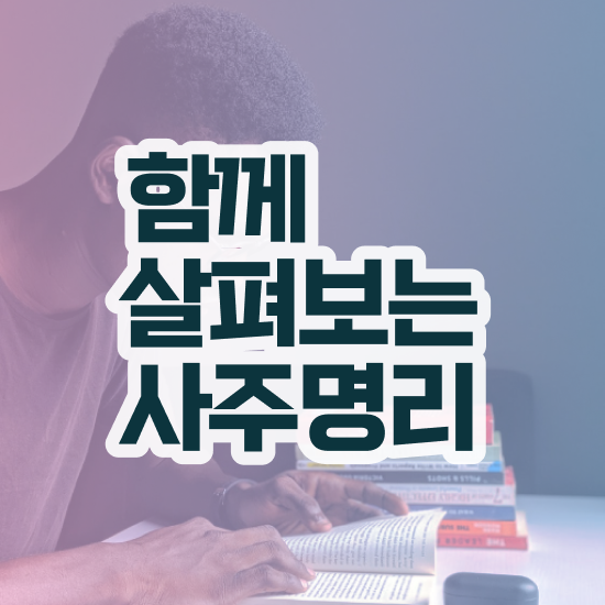  사주팔자 , 심리상담사 자격증 2주 만에 준비한 과정 정리했어요