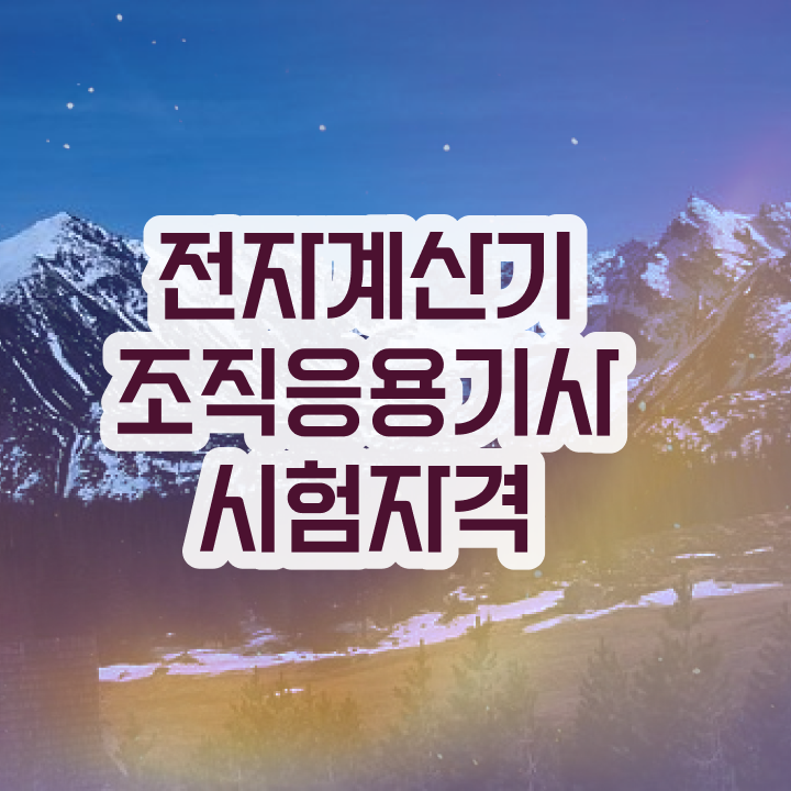  전자계산기조직응용기사 응시자격 집에서 온라인으로 간편하게 준비한 비법