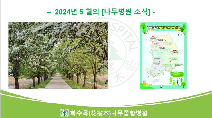  2024년 5월의 나무병원 뉴스 모음