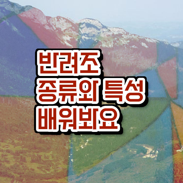  코뉴어 앵무새 , 반려조관리사 자격증 취득한 정보 완벽 정리