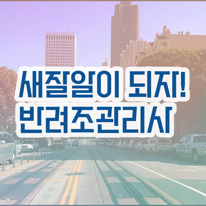  부산 앵무새 , 반려조관리사 자격증 한달 만에 준비한 방법 준비했어요