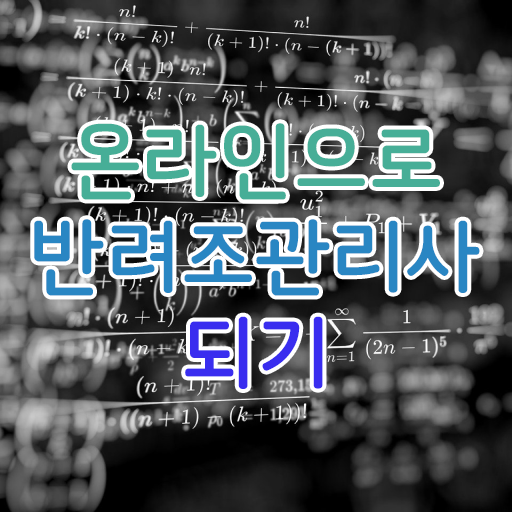  앵무새 키우기 , 반려조관리사 자격증 온라인으로 취득한 과정 및 채용 정보