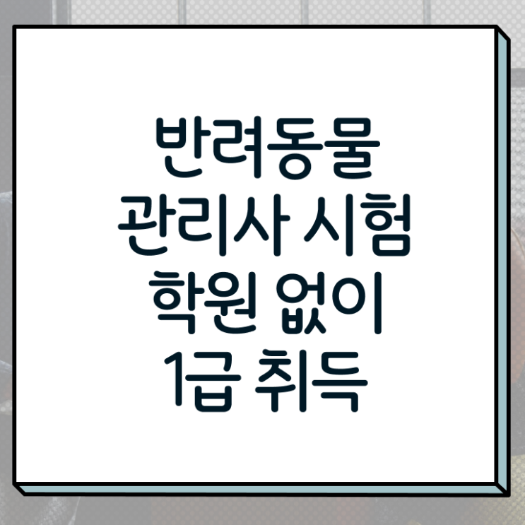  반려동물관리사 , 반려동물관리사 자격증 직장인도 쉽게 준비한 방법 , 고용 전망