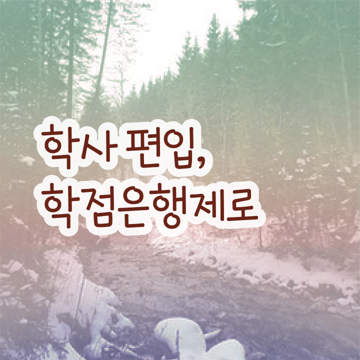  학점은행 편입 , 학점은행제 연락주세요 기간 단축 비용절감 후기 궁금하시죠?