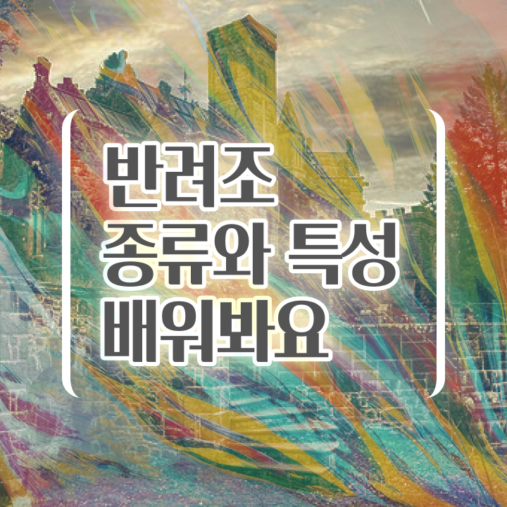  왕관앵무새 , 반려조관리사 자격증 학습한 후기 정보 퍼펙트 요약