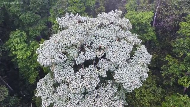  구미 2년제사회복지학과 ? 사회복지사2급 관련학위 없어도 온라인으로 손쉽게