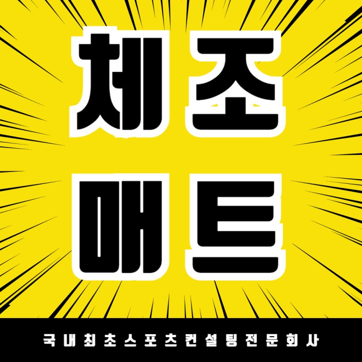  체육 수업의 질을 높이다,조치원중학교 체조매트 납품/체조매트제조회사