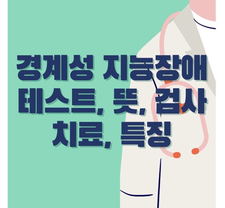  경계성 지능장애 테스트 뜻 검사 치료 특징