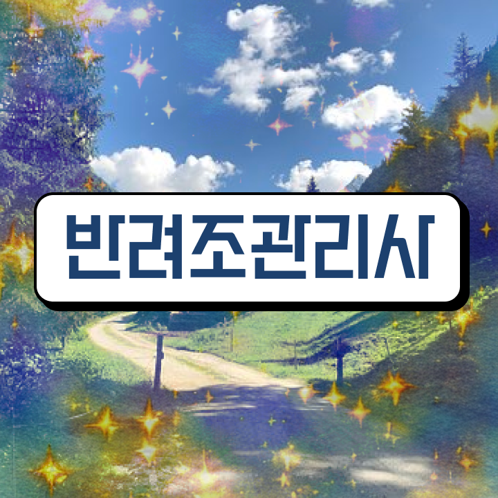  코뉴어앵무새가격 , 반려조관리사 자격증 취득한 노하우 정리했어요