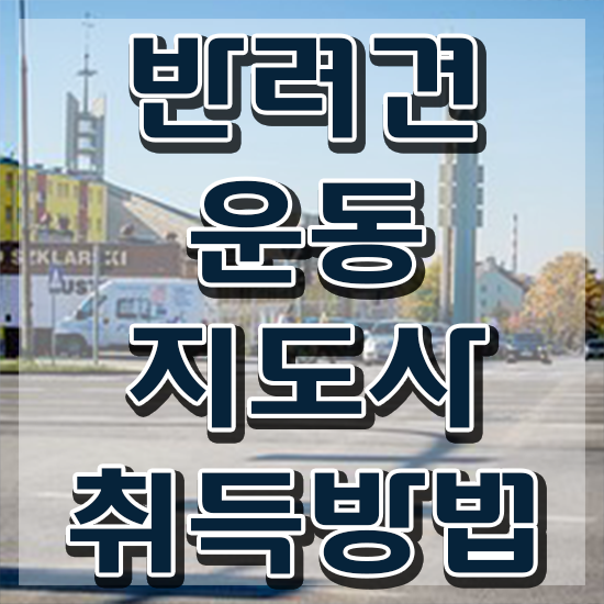  10대 자격증 추천 , 반려견운동지도사 비전공 직장인도 최단기간 완료한 노하우