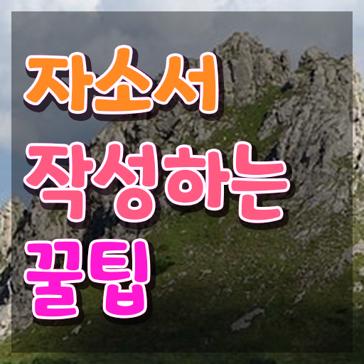  유니스트자소서컨설팅 , 자기소개서지도사 자격증 단기간에 준비한 과정 , 구직정보