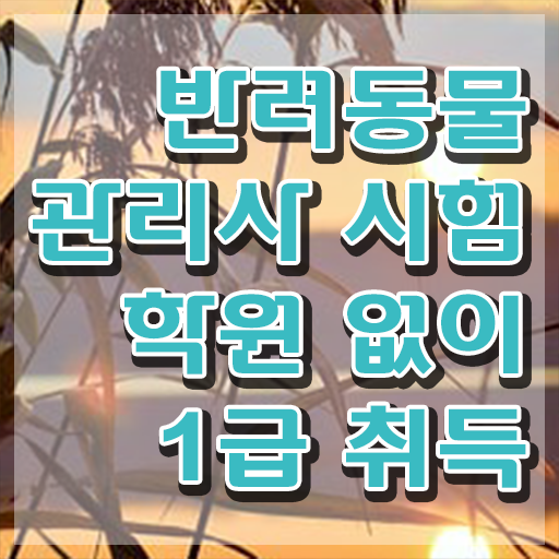  , 반려동물관리사 자격증 1달 만에 취득했던 후기 알려드려요