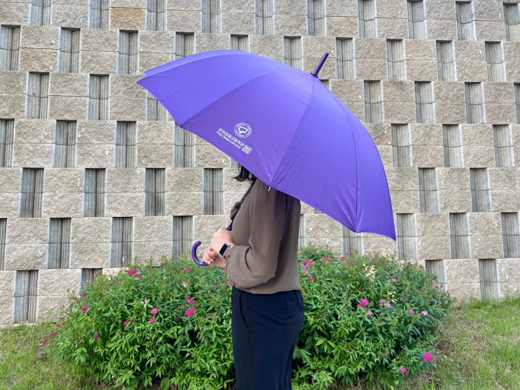  장마철 대비 미리 준비하는 여름 판촉물 곡자 장우산 인쇄 제작하세요.
