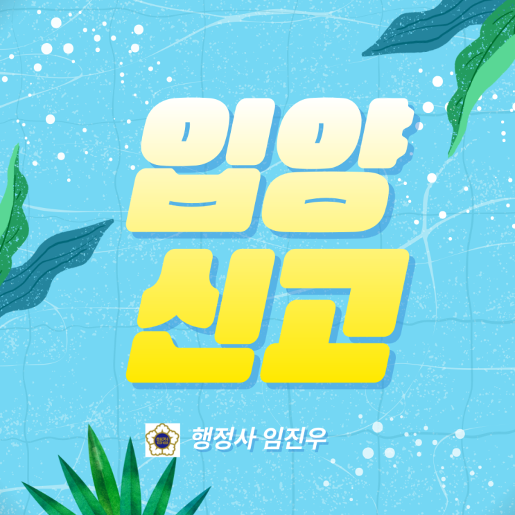  입양신고 : 한국인과 외국인사이의 입양절차