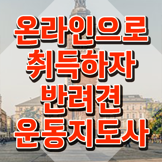  40대후반취업 반려견운동지도사자격증 1달 만에 취득한 노하우 소개