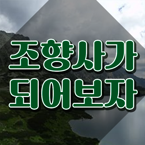  컴퓨터 자격증 추천 , 조향사 조건없이 초단기 준비했던 팁