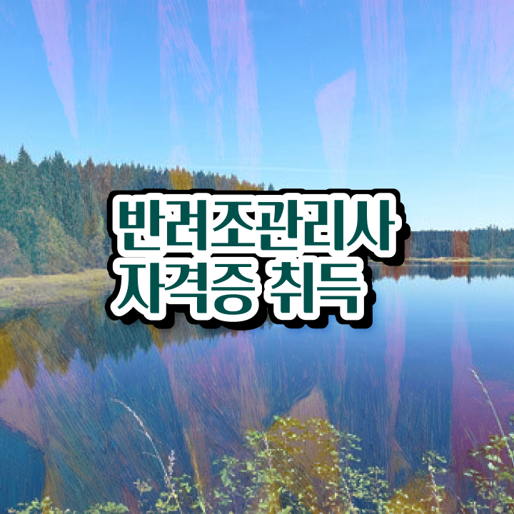  앵무새분양 , 반려조관리사 자격증 취득한 정보 콕콕 짚어드립니다